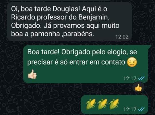 Print de conversa no WhatsApp: Ricardo, professor, elogiando a pamonha